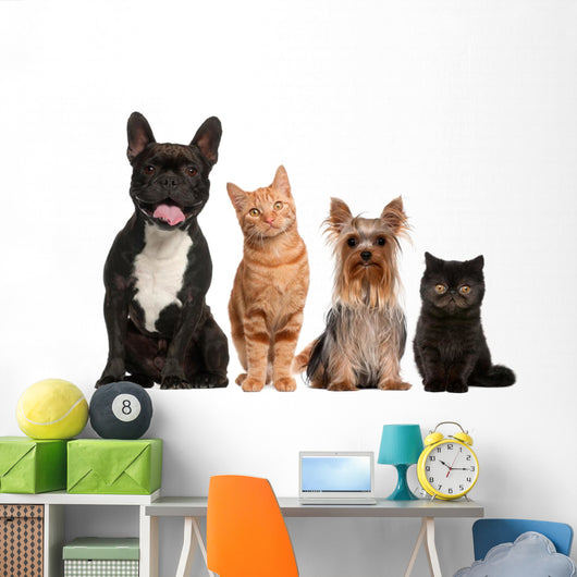 Group of Small Cats And Dogs Wall Decal