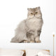 Persian Cat Sitting Front Wall Decal