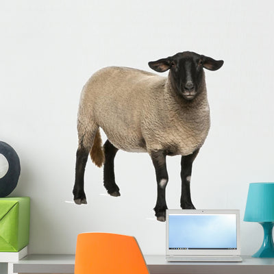 Female Suffolk Sheep Wall Decal shown on a wall