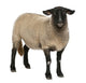 Female Suffolk Sheep Wall Decal