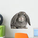 French Lop Rabbit Sitting Wall Decal
