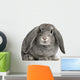 French Lop Rabbit Sitting Wall Decal