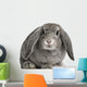 French Lop Rabbit Sitting Wall Decal