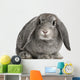French Lop Rabbit Sitting Wall Decal