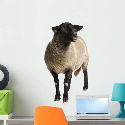 Female Suffolk Sheep Ovis Wall Decal shown on a wall