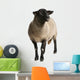 Female Suffolk Sheep Ovis Wall Decal