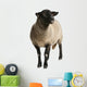 Female Suffolk Sheep Ovis Wall Decal
