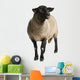 Female Suffolk Sheep Ovis Wall Decal