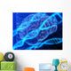 Brain And Dna Wall Decal