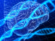 Brain And Dna Wall Decal