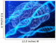 Brain And Dna Wall Decal