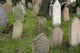 Old Jewish Cemetery Prague Wall Decal