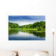 Lake And Forest Wall Decal