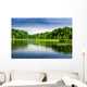 Lake And Forest Wall Decal