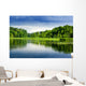 Lake And Forest Wall Decal