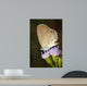 Beautiful Butterfly With Flower Wall Decal