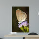 Beautiful Butterfly With Flower Wall Decal