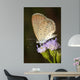 Beautiful Butterfly With Flower Wall Decal