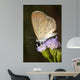 Beautiful Butterfly With Flower Wall Decal