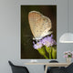 Beautiful Butterfly With Flower Wall Decal
