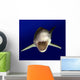 Great White Wall Decal