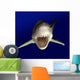 Great White Wall Decal