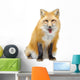 Red Fox Sitting Wall Decal