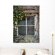 Old Cottage Window With Vines Wall Decal