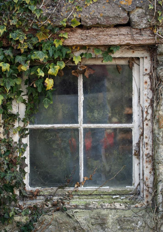 Old Cottage Window With Vines Wall Decal