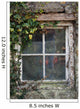 Old Cottage Window With Vines Wall Decal