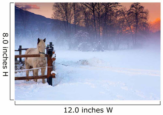 White Horse Snow Wall Decal