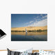 Aswan Wall Decal