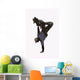 Inverted Skateboarder Wall Decal