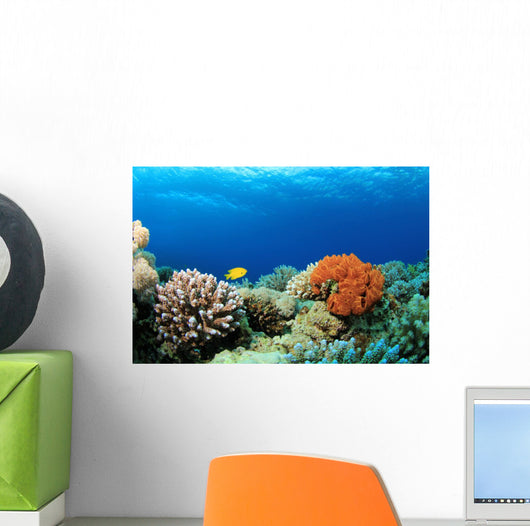 Colorful Corals Red Sea Wall Decal