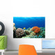 Colorful Corals Red Sea Wall Decal