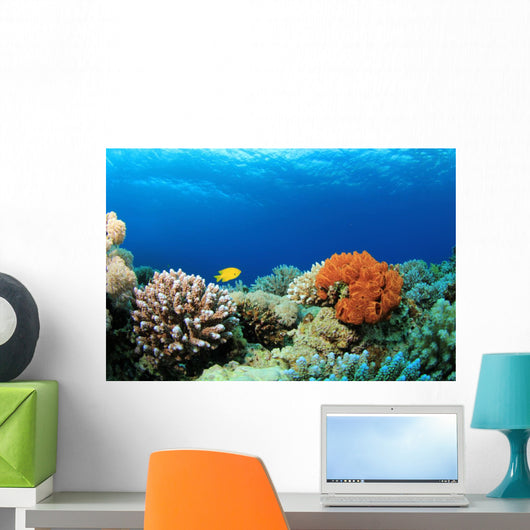 Colorful Corals Red Sea Wall Decal