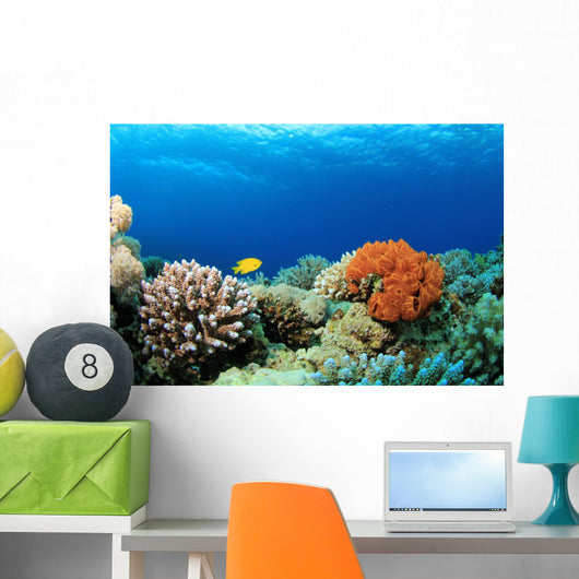 Colorful Corals Red Sea Wall Decal