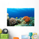 Colorful Corals Red Sea Wall Decal