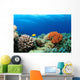 Colorful Corals Red Sea Wall Decal