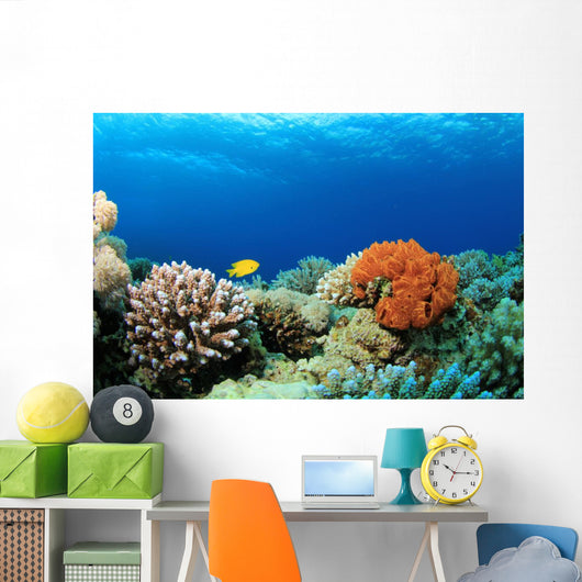 Colorful Corals Red Sea Wall Decal