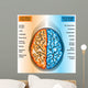 Human Brain Left And Right Hemispheres Wall Decal
