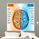 Human Brain Left And Right Hemispheres Wall Decal