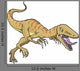 Raptor Dinosaur Wall Decal