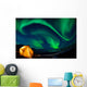 Northern Lights and a Tent Wall Decal
