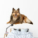 Beautiful Furry Sheltie Wall Decal