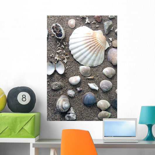 Sea Life Wall Decal