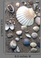 Sea Life Wall Decal