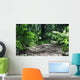 Magic Forest With Ferns Wall Decal