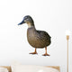 Wild Duck Female White Wall Decal