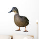 Wild Duck Female White Wall Decal
